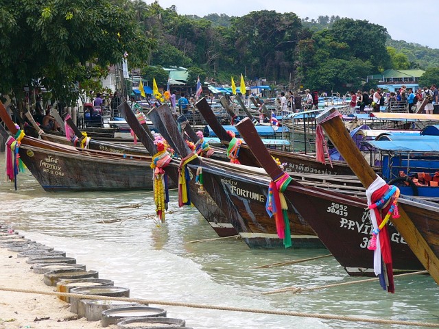 longtails on Phi Phi Don